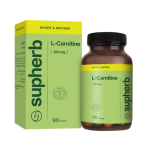 L- carnitine 500 L- carnitine 500